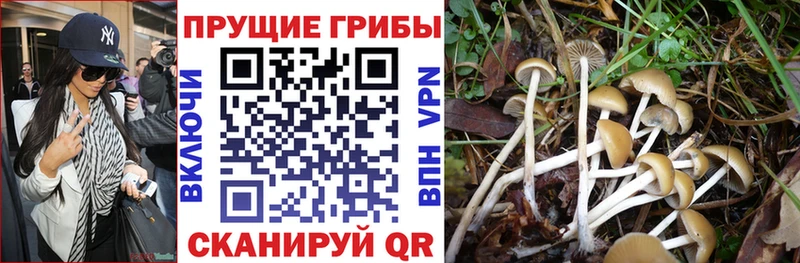 Псилоцибиновые грибы Magic Shrooms где продают наркотики Ярцево